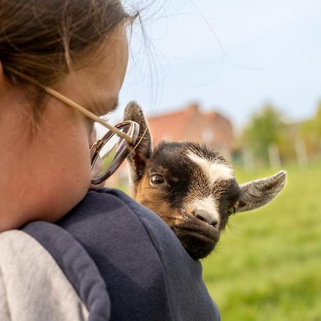 Logements Insolites A La Ferme - Yourte, Kota Ou Pod Farbus Eksteriør bilde