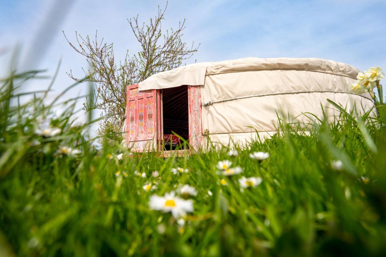 Logements Insolites A La Ferme - Yourte, Kota Ou Pod Farbus Eksteriør bilde
