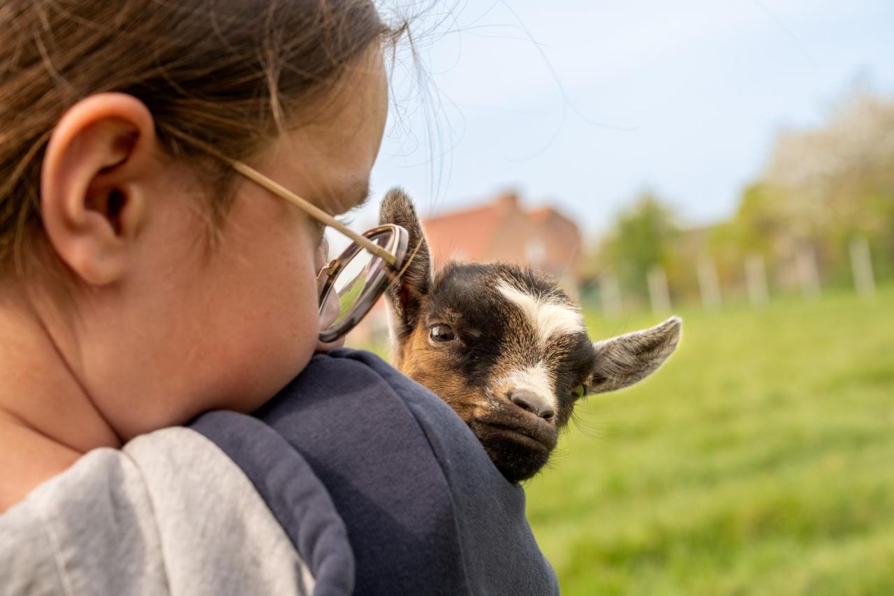 Logements Insolites A La Ferme - Yourte, Kota Ou Pod Farbus Eksteriør bilde