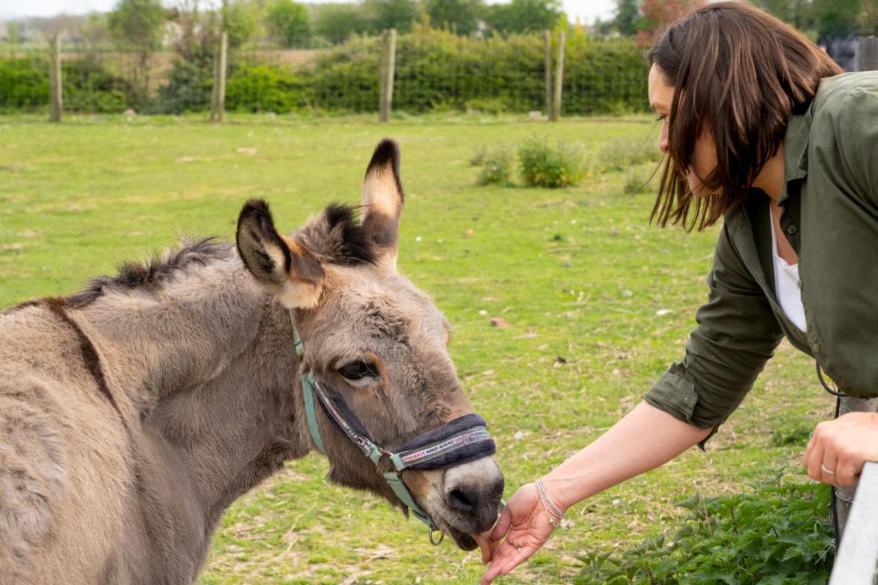 Logements Insolites A La Ferme - Yourte, Kota Ou Pod Farbus Eksteriør bilde